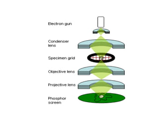 Transmission electron microscopy | PPTX