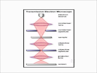 Transmission Electron Microscopy | PPT