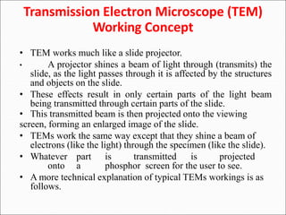 Transmission Electron Microscopy | PPT