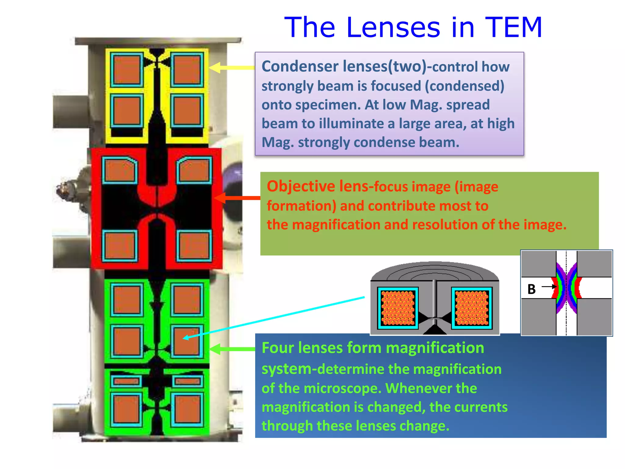Sample Preparation
• Dehydration in alcohol
• Embedding in resin
• Semi-thin sections cut at 0.5 micron thick,
stained with toluidine blue
• Selection of sample blocks
• Ultrathin sections at 0.1 micron thick, stained
with lead citrate and uranium acetate
 