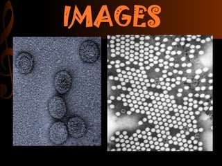 Transmission electron microscopy new | PPTX