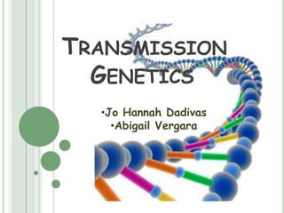TRANSMISSION
  GENETICS
  •Jo Hannah Dadivas
    •Abigail Vergara
 