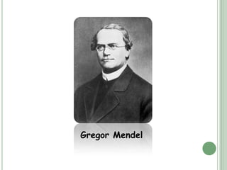 Gregor Mendel
 