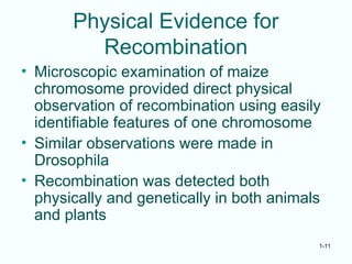 1-11
Physical Evidence for
Recombination
• Microscopic examination of maize
chromosome provided direct physical
observation of recombination using easily
identifiable features of one chromosome
• Similar observations were made in
Drosophila
• Recombination was detected both
physically and genetically in both animals
and plants
 