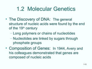 1-12
1.2 Molecular Genetics
• The Discovery of DNA: The general
structure of nucleic acids were found by the end
of the 19th
century
– Long polymers or chains of nucleotides
– Nucleotides are linked by sugars through
phosphate groups
• Composition of Genes: In 1944, Avery and
his colleagues demonstrated that genes are
composed of nucleic acids
 
