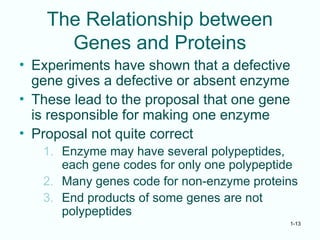 1-13
The Relationship between
Genes and Proteins
• Experiments have shown that a defective
gene gives a defective or absent enzyme
• These lead to the proposal that one gene
is responsible for making one enzyme
• Proposal not quite correct
1. Enzyme may have several polypeptides,
each gene codes for only one polypeptide
2. Many genes code for non-enzyme proteins
3. End products of some genes are not
polypeptides
 