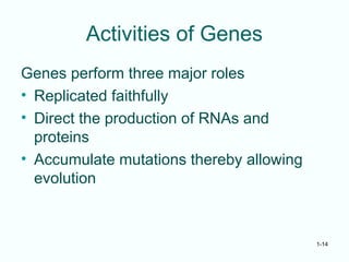 1-14
Activities of Genes
Genes perform three major roles
• Replicated faithfully
• Direct the production of RNAs and
proteins
• Accumulate mutations thereby allowing
evolution
 