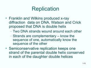 1-15
Replication
• Franklin and Wilkins produced x-ray
diffraction data on DNA, Watson and Crick
proposed that DNA is double helix
– Two DNA strands wound around each other
– Strands are complementary – know the
sequence of one, automatically know the
sequence of the other
• Semiconservative replication keeps one
strand of the parental double helix conserved
in each of the daughter double helices
 