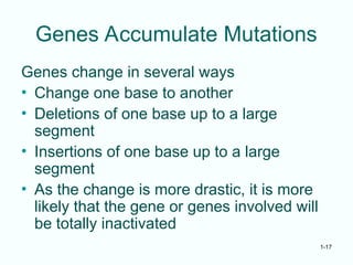 1-17
Genes Accumulate Mutations
Genes change in several ways
• Change one base to another
• Deletions of one base up to a large
segment
• Insertions of one base up to a large
segment
• As the change is more drastic, it is more
likely that the gene or genes involved will
be totally inactivated
 