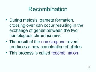 1-9
Recombination
• During meiosis, gamete formation,
crossing over can occur resulting in the
exchange of genes between the two
homologous chromosomes
• The result of the crossing-over event
produces a new combination of alleles
• This process is called recombination
 