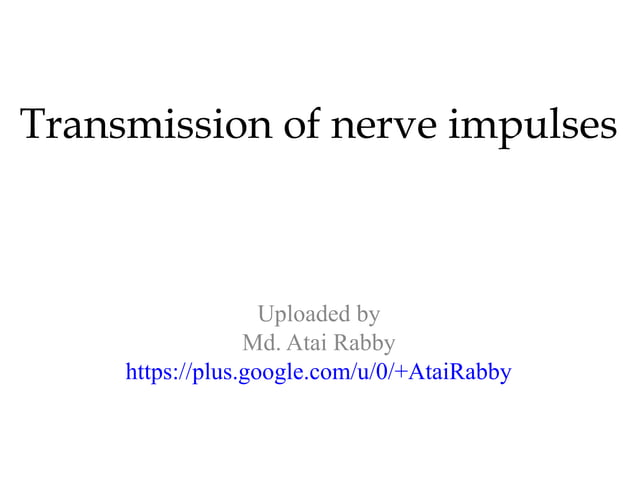 Transmission of nerve impulses Biology Diagrams