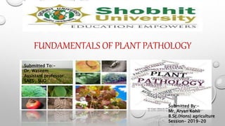 FUNDAMENTALS OF PLANT PATHOLOGY
Submitted To:-
Dr. Waseem
Assistant professor
SAES , SUG
Submitted By:-
Mr. Aryan Kohli
B.Sc.(Hons) agriculture
Session- 2019-20
 