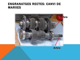 ENGRANATGES RECTES: CANVI DE MARXES Arbre Arbre 