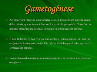 Gametogénese Ao nascer um rapaz ou uma rapariga estes já possuem um sistema genital diferenciado, que se tornará funcional a partir da puberdade. Nesta fase as gónadas atingem a maturidade, iniciando-se a produção de gâmetas. É nos testículos e nos ovários que ocorre a gametogénese, ou seja, um conjunto de fenómenos, ao nível de células da linha germinativa que leva à formação de gâmetas. Nos testículos desenrola-se a espermatogénese e nos ovários a oogénese ou ovogénese. 