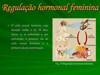 Regulação hormonal feminina O ciclo sexual feminino, cuja duração média é de 28 dias, inicia- se na puberdade e, por convenção, o primeiro dia do ciclo sexual feminino é o primeiro dia da menstruação.  Fig. 20 Regulação hormonal feminina 
