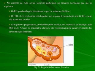 No controlo do ciclo sexual feminino participam no processo hormonas que são as seguintes: GnRH, produzida pelo hipotálamo e que vai actuar na hipófise; O FSH e LH, produzidas pela hipófise, em resposta à estimulação pela GnRH, e que vão actuar nos ovários; Estrogéneo e progesterona, produzidas pelos ovários, em resposta à estimulação pela FSH e LH. Actuam no endométrio uterino e são responsáveis pelo desenvolvimento das características femininas.   Fig. 21 Regulação hormonal feminina 