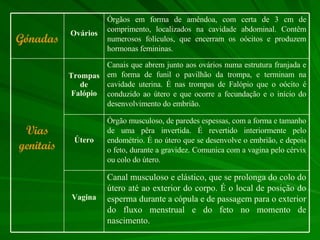 Canal musculoso e elástico, que se prolonga do colo do útero até ao exterior do corpo. É o local de posição do esperma durante a cópula e de passagem para o exterior do fluxo menstrual e do feto no momento de nascimento.  Vagina Órgão musculoso, de paredes espessas, com a forma e tamanho de uma pêra invertida. É revertido interiormente pelo endométrio. É no útero que se desenvolve o embrião, e depois o feto, durante a gravidez. Comunica com a vagina pelo cérvix ou colo do útero.  Útero Canais que abrem junto aos ovários numa estrutura franjada e em forma de funil o pavilhão da trompa, e terminam na cavidade uterina. É nas trompas de Falópio que o oócito é conduzido ao útero e que ocorre a fecundação e o início do desenvolvimento do embrião. Trompas de Falópio Vias genitais Órgãos em forma de amêndoa, com certa de 3 cm de comprimento, localizados na cavidade abdominal. Contêm numerosos folículos, que encerram os oócitos e produzem hormonas femininas.  Ovários Gónadas 