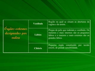 Pequeno órgão constituído por tecido eréctil, de grande sensibilidade.  Clitóris Pregas de pele que rodeiam o vestíbulo. Os menores e mais internos são os pequenos lábios e o maiores e mais externos são os grandes lábios.  Lábios Região na qual se situam as aberturas da vagina e da uretra. Vestíbulo Órgãos externos designados por vulva 