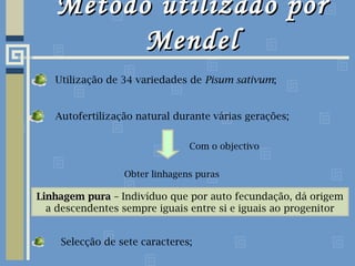 Método utilizado porMétodo utilizado por
MendelMendel
Utilização de 34 variedades de Pisum sativum;
Autofertilização natural durante várias gerações;
Com o objectivo
Obter linhagens puras
Linhagem puraLinhagem pura – Indivíduo que por auto fecundação, dá origem
a descendentes sempre iguais entre si e iguais ao progenitor
Selecção de sete caracteres;
 