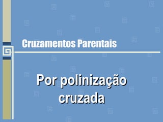 Cruzamentos Parentais
Por polinizaçãoPor polinização
cruzadacruzada
 