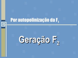 Por autopolinização da F1
Geração FGeração F22
 