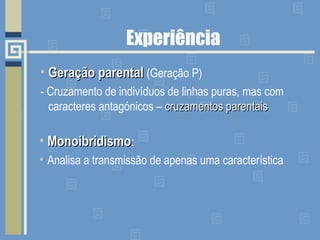 Experiência
• Geração parentalGeração parental (Geração P)
- Cruzamento de indivíduos de linhas puras, mas com
caracteres antagónicos – cruzamentos parentaiscruzamentos parentais
• MonoibridismoMonoibridismo:
• Analisa a transmissão de apenas uma característica
 