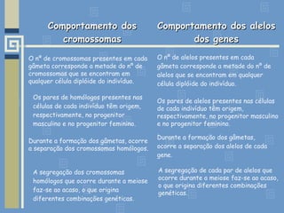 Comportamento dosComportamento dos
cromossomascromossomas
Comportamento dos alelosComportamento dos alelos
dos genesdos genes
O nº de alelos presentes em cada
gâmeta corresponde a metade do nº de
alelos que se encontram em qualquer
célula diplóide do indivíduo.
Os pares de homólogos presentes nas
células de cada indivíduo têm origem,
respectivamente, no progenitor
masculino e no progenitor feminino.
Durante a formação dos gâmetas,
ocorre a separação dos alelos de cada
gene.
A segregação dos cromossomas
homólogos que ocorre durante a meiose
faz-se ao acaso, o que origina
diferentes combinações genéticas.
O nº de cromossomas presentes em cada
gâmeta corresponde a metade do nº de
cromossomas que se encontram em
qualquer célula diplóide do indivíduo.
Os pares de alelos presentes nas células
de cada indivíduo têm origem,
respectivamente, no progenitor masculino
e no progenitor feminino.
Durante a formação dos gâmetas, ocorre
a separação dos cromossomas homólogos.
A segregação de cada par de alelos que
ocorre durante a meiose faz-se ao acaso,
o que origina diferentes combinações
genéticas.
 