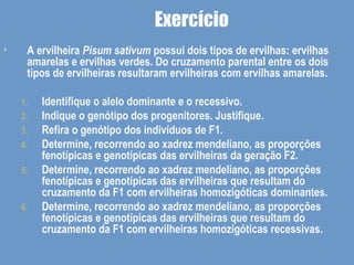 Exercício
• A ervilheira Pisum sativum possui dois tipos de ervilhas: ervilhas
amarelas e ervilhas verdes. Do cruzamento parental entre os dois
tipos de ervilheiras resultaram ervilheiras com ervilhas amarelas.
1. Identifique o alelo dominante e o recessivo.
2. Indique o genótipo dos progenitores. Justifique.
3. Refira o genótipo dos indivíduos de F1.
4. Determine, recorrendo ao xadrez mendeliano, as proporções
fenotípicas e genotípicas das ervilheiras da geração F2.
5. Determine, recorrendo ao xadrez mendeliano, as proporções
fenotípicas e genotípicas das ervilheiras que resultam do
cruzamento da F1 com ervilheiras homozigóticas dominantes.
6. Determine, recorrendo ao xadrez mendeliano, as proporções
fenotípicas e genotípicas das ervilheiras que resultam do
cruzamento da F1 com ervilheiras homozigóticas recessivas.
 
