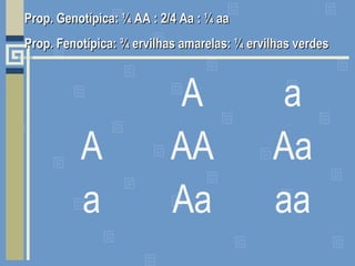 A a
A AA Aa
a Aa aa
Prop. Genotípica: ¼ AA : 2/4 Aa : ¼ aaProp. Genotípica: ¼ AA : 2/4 Aa : ¼ aa
Prop. Fenotípica: ¾ ervilhas amarelas: ¼ ervilhas verdesProp. Fenotípica: ¾ ervilhas amarelas: ¼ ervilhas verdes
 