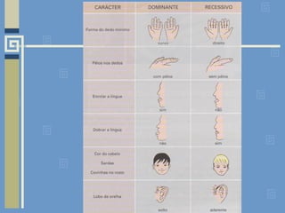 Transmisso de-caractersticas-hereditrias-1193889302144183-2