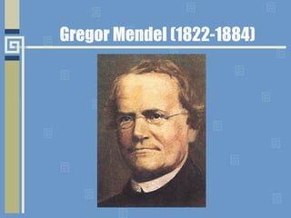 Gregor Mendel (1822-1884)
 