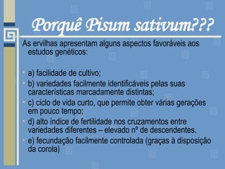 Porquê Pisum sativum??? As ervilhas apresentam alguns aspectos favoráveis aos estudos genéticos: a) facilidade de cultivo; b) variedades facilmente identificáveis pelas suas características marcadamente distintas; c) ciclo de vida curto, que permite obter várias gerações em pouco tempo; d) alto índice de fertilidade nos cruzamentos entre variedades diferentes – elevado nº de descendentes. e) fecundação facilmente controlada (graças à disposição da corola) 