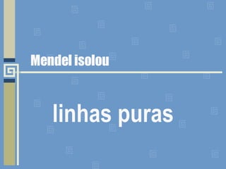 Mendel isolou linhas puras 