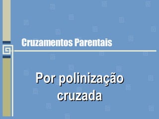 Cruzamentos Parentais Por polinização cruzada 
