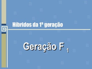 Híbridos da 1ª geração Geração F  1 