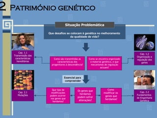 2   Património genético Que desafios se colocam à genética no melhoramento  da qualidade de vida? Situação Problemática Como se encontra organizado o material genético, e que mecanismos de regulação actuam? Como são transmitidas as características dos progenitores à descendência? Como  modificar os  genes que herdamos? Cap. 2.2 Fundamentos  de Engenharia Genética Cap. 1.2 Organização e regulação dos genes Cap. 1.1 Transmissão das características hereditárias Que tipo de modificações podem ocorrer  nos genes que herdamos? Cap. 2.1 Mutações Os genes que herdamos podem sofrer alterações? Essencial para  compreender 