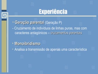Experiência Geração parental  (Geração P) - Cruzamento de indivíduos de linhas puras, mas com caracteres antagónicos –  cruzamentos parentais Monoibridismo : Analisa a transmissão de apenas uma característica 