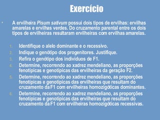 Exercício A ervilheira  Pisum sativum  possui dois tipos de ervilhas: ervilhas amarelas e ervilhas verdes. Do cruzamento parental entre os dois tipos de ervilheiras resultaram ervilheiras com ervilhas amarelas. Identifique o alelo dominante e o recessivo. Indique o genótipo dos progenitores. Justifique. Refira o genótipo dos indivíduos de F1. Determine, recorrendo ao xadrez mendeliano, as proporções fenotípicas e genotípicas das ervilheiras da geração F2. Determine, recorrendo ao xadrez mendeliano, as proporções fenotípicas e genotípicas das ervilheiras que resultam do cruzamento da F1 com ervilheiras homozigóticas dominantes. Determine, recorrendo ao xadrez mendeliano, as proporções fenotípicas e genotípicas das ervilheiras que resultam do cruzamento da F1 com ervilheiras homozigóticas recessivas. 