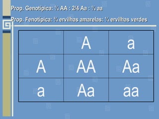 Prop. Genotípica: ¼ AA : 2/4 Aa : ¼ aa Prop. Fenotípica: ¾ ervilhas amarelas: ¼ ervilhas verdes aa Aa a Aa AA A a A 