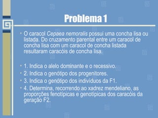 Problema 1 O caracol  Cepaea nemoralis  possui uma concha lisa ou listada. Do cruzamento parental entre um caracol de concha lisa com um caracol de concha listada resultaram caracóis de concha lisa. 1. Indica o alelo dominante e o recessivo. 2. Indica o genótipo dos progenitores. 3. Indica o genótipo dos indivíduos da F1. 4. Determina, recorrendo ao xadrez mendeliano, as proporções fenotípicas e genotípicas dos caracóis da geração F2. 