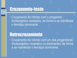 Cruzamento-teste Cruzamento do híbrido com o progenitor homozigótico recessivo, de forma a se manifestar o fenótipo dominante. Retrocruzamento Cruzamento do híbrido com um dos progenitores (homozigótico recessivo ou dominante), de forma a se manifestar o fenótipo dominante. 