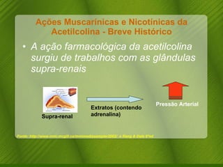 Ações Muscarínicas e Nicotínicas da Acetilcolina - Breve Histórico A ação farmacológica da acetilcolina surgiu de trabalhos com as glândulas supra-renais Pressão Arterial Extratos (contendo adrenalina) Supra-renal Fonte: http://www.mmi.mcgill.ca/mmimediasampler2002/  e Rang & Dale 6ªed 