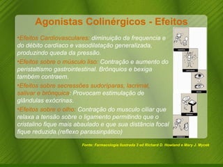 Agonistas Colinérgicos - Efeitos Fonte: Farmacologia Ilustrada 3 ed Richard D. Howland e Mary J. Mycek Efeitos Cardiovasculares:  diminuição da frequencia e do débito cardíaco e vasodilatação generalizada, produzindo queda da pressão. Efeitos sobre o músculo liso:  Contração e aumento do peristaltismo gastrointestinal. Brônquios e bexiga também contraem. Efeitos sobre secressões sudoríparas, lacrimal, salivar e brônquica : Provocam estimulação de glândulas exócrinas. Efeitos sobre o olho:  Contração do musculo ciliar que relaxa a tensão sobre o ligamento permitindo que o cristalino fique mais abaulado e que sua distância focal fique reduzida.(reflexo parassinpático)  
