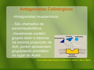 Antagonistas Colinérgicos  Fonte: Farmacologia Ilustrada 3 ed Richard D. Howland e Mary J. Mycek Antagonistas muscarínicos - São chamados de parasimpatolíticos. -Geralmente contêm grupos éster e básicos na mesma proporção da Ach, porém apresentam grupamento aromático no lugar do Acetil. 