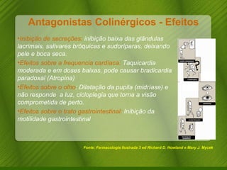 Antagonistas Colinérgicos - Efeitos Fonte: Farmacologia Ilustrada 3 ed Richard D. Howland e Mary J. Mycek Inibição de secreções:  inibição baixa das glândulas lacrimais, salivares brôquicas e sudoríparas, deixando pele e boca seca. Efeitos sobre a frequencia cardíaca:  Taquicardia moderada e em doses baixas, pode causar bradicardia paradoxal (Atropina) Efeitos sobre o olho : Dilatação da pupila (midríase) e não responde  a luz, cicloplegia que torna a visão comprometida de perto. Efeitos sobre o trato gastrointestinal:  Inibição da motilidade gastrointestinal  