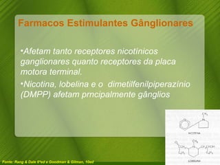Farmacos Estimulantes Gânglionares Afetam tanto receptores nicotínicos ganglionares quanto receptores da placa motora terminal. Nicotina, lobelina e o  dimetilfenilpiperazínio (DMPP) afetam prncipalmente gânglios Fonte: Rang & Dale 6ªed e Goodman & Gilman, 10ed 