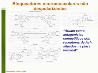 Bloqueadores neuromusculares não despolarizantes Goodman & Gilman, 10ed “ Atuam como antagonistas competitivos dos receptores da Ach situados na placa terminal” 