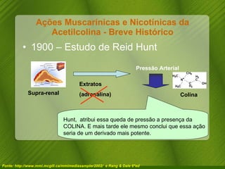 Ações Muscarínicas e Nicotínicas da Acetilcolina - Breve Histórico 1900 – Estudo de Reid Hunt Fonte: http://www.mmi.mcgill.ca/mmimediasampler2002/  e Rang & Dale 6ªed Pressão Arterial Extratos  (adrenalina) Supra-renal Hunt,  atribui essa queda de pressão a presença da COLINA. E mais tarde ele mesmo conclui que essa ação seria de um derivado mais potente. Colina 