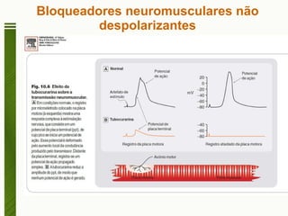 Bloqueadores neuromusculares não despolarizantes 