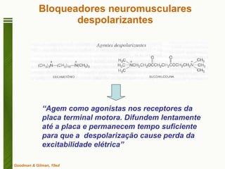 Bloqueadores neuromusculares despolarizantes Goodman & Gilman, 10ed “ Agem como agonistas nos receptores da placa terminal motora. Difundem lentamente até a placa e permanecem tempo suficiente para que a  despolarização cause perda da excitabilidade elétrica” 
